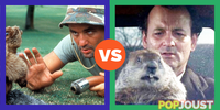 Which is the better Bill Murray vs rodent buddy flick