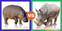 Which is the better massive mammal