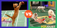 Which Super Bowl alternative would you rather watch